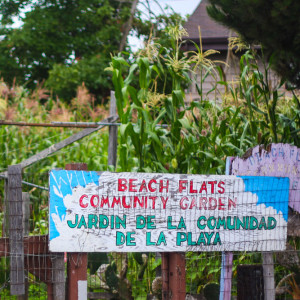 A garden sign at one of the street facing gates.  Beach Flats Community Garden.  Jardin de la Comunidad de la Playa.