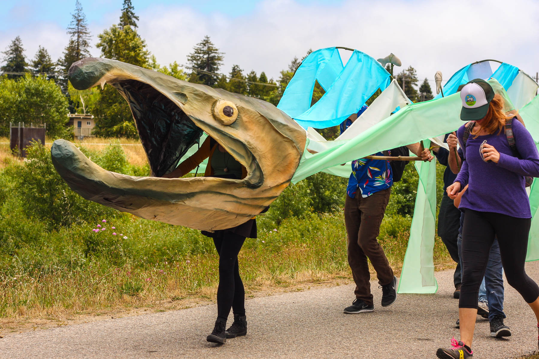Giant salmon puppet recalls a time when salmonids were abundant in this watershed