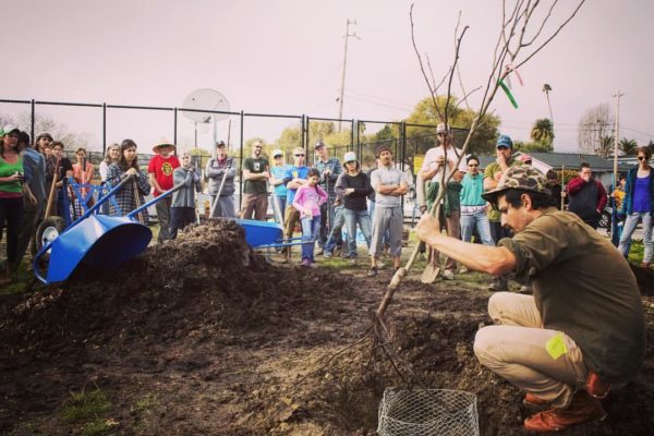 Community orchard planting demo, Santa Cruz, 2017