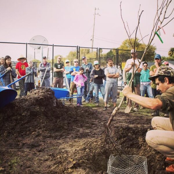 Community orchard planting demo, Santa Cruz, 2017